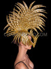 Half Mask Styled Shiny Golden Diva Fancy Spiked Mohawk Headdress
