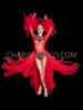 Majesty Red Paso Doble Leotard Dress with Tulle Tail Skirt