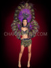 Plume Majesty Carnival Samba Peacock Costume Set