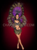 Plume Majesty Carnival Samba Peacock Costume Set