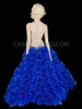 Blue Organza Shimmery Floor Length Circular Ruffle Skirt