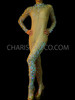 Sheer Nude Body Stocking With Iridescent Sequins And Crystals