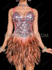 Pink Silver Sequin Brown Feather Cabaret Mini Dress 