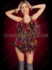 Multicolor Feather Carnival Samba Burlesque Dance Leotard