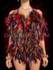 Multicolor Feather Carnival Samba Burlesque Dance Leotard