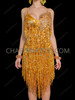 Golden Floral Appliqué Sequin Fringe Latin Dance Dress