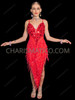 Red Beaded Fringe V-Hemline Latin Dance Dress