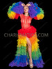 Gay Pride Rainbow Tulle Ruffle Skirt & Dramatic Sleeve Set
