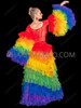 Gay Pride Rainbow Tulle Ruffle Skirt & Dramatic Sleeve Set