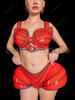 Glossy Red Rave Armor Top and Hip Cage Bottom Set