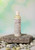 Purely Organics 6-Plus Hair Loss Recovery Leave-In Conditioner

Purely Organics 6-Plus Hair Loss Recovery Leave-In Conditioner is a high-performance, repair-focused leave-in treatment formulated to improve the structure and resilience of severely damaged, fragile, and thinning-prone hair. This advanced formula is designed to rehydrate, strengthen, and rebuild compromised strands while enhancing softness, body, and manageability.

Developed to support hair that has been weakened by chemical processing, heat styling, environmental stress, or chronic dryness, this leave-in conditioner works to reinforce the hair shaft, smooth split ends, and stabilize damage, helping hair appear fuller, healthier, and more resilient with continued use.