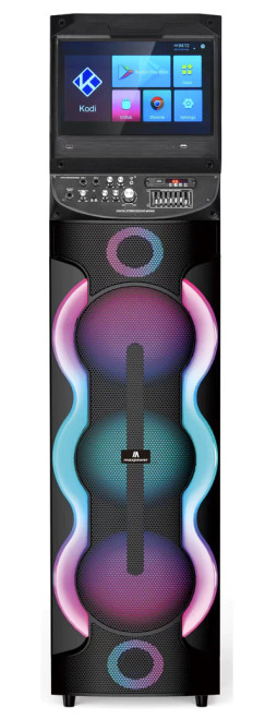 Party Karaoke Speaker MPD1030TS GRAY