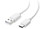 Type C Data Cable White