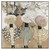 Mary Pratt's Patterned Parade