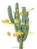 Desert-inspired artwork with a cactus and gold splatter