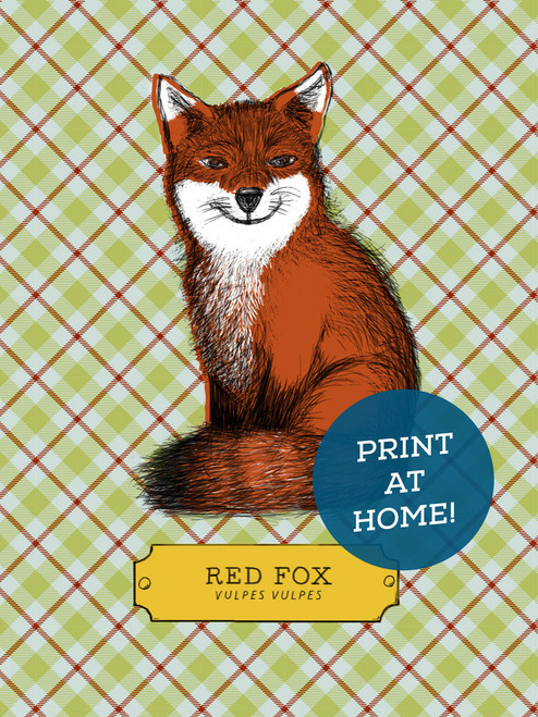 Illustrated Fox Printable