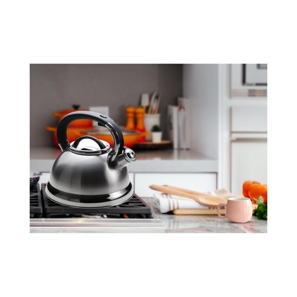 Arshia Stainless Steel Kettle 2.8L