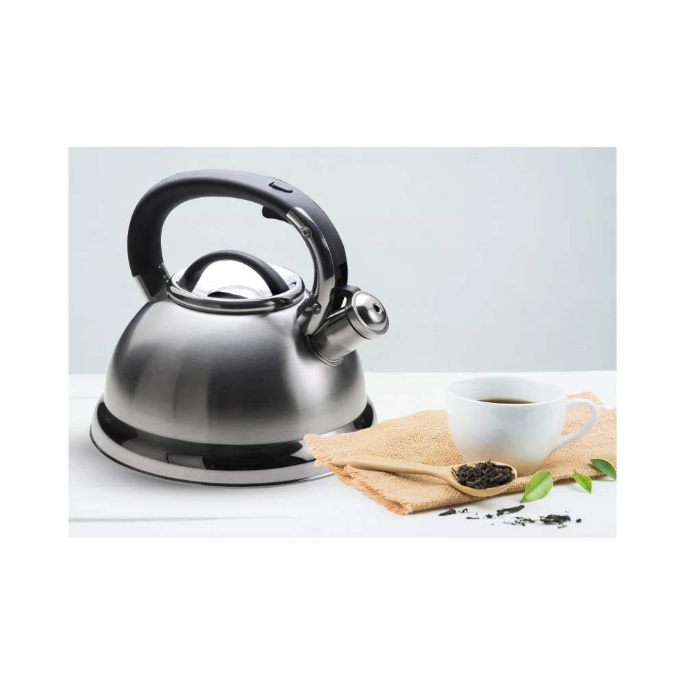 Arshia Stainless Steel Kettle 2.8L