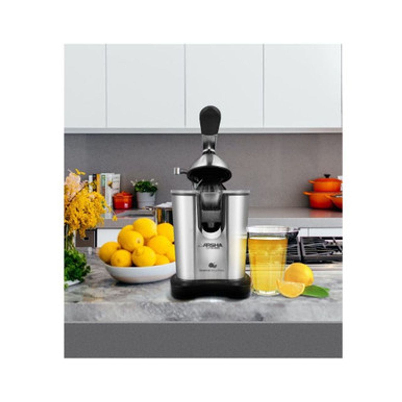 Electric Citrus Juicer