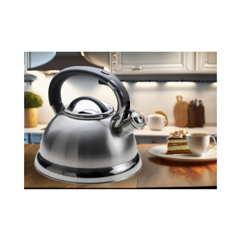Arshia Premium Stainless Steel Kettle 3L