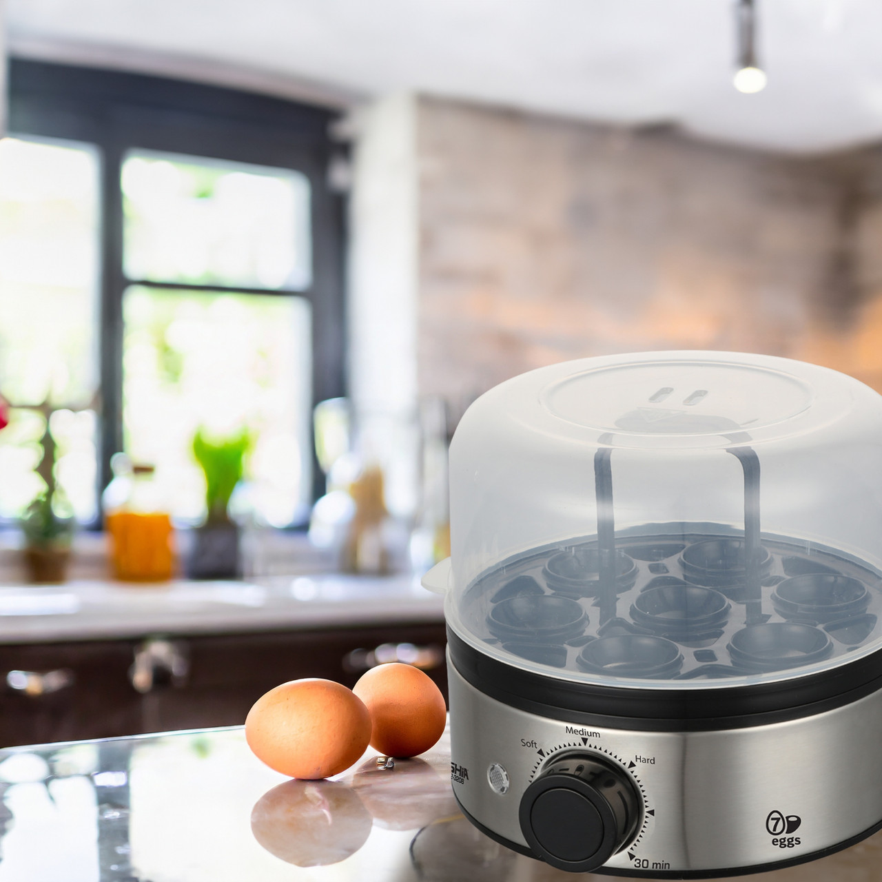 Arshia Egg Boiler