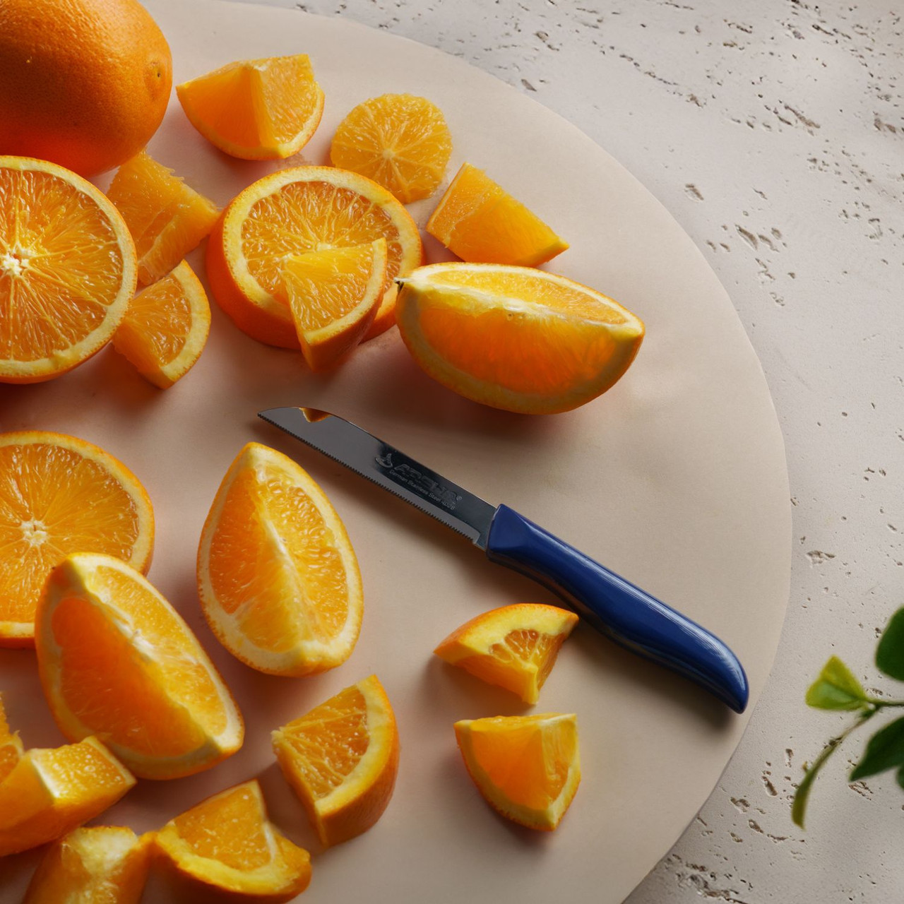 Arshia 6-piece Fruit Knife Set