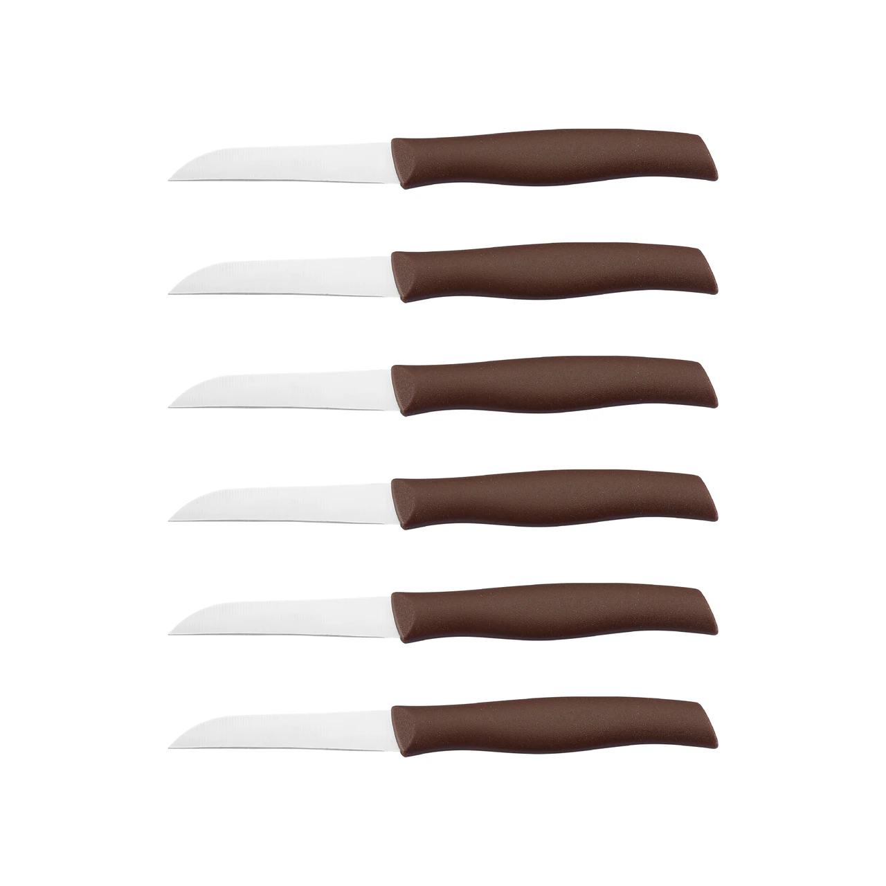 Arshia 6-Piece Fruit Knife Set