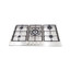 Arshia Built in Stove Stainless Steel