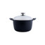 Arshia Die-Casted Casserole 28CM