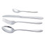 Arshia Silver Matte Cutlery 135pc Set TM1401M