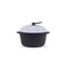 Arshia Die Cast Casserole 32cm