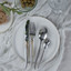Arshia FR Cutlery Set Gold & Silver 38pcs TM145GS