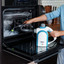 Arshia Steam Cleaner