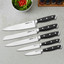 Arshia 6-piece Knife Set with Wooden Stand