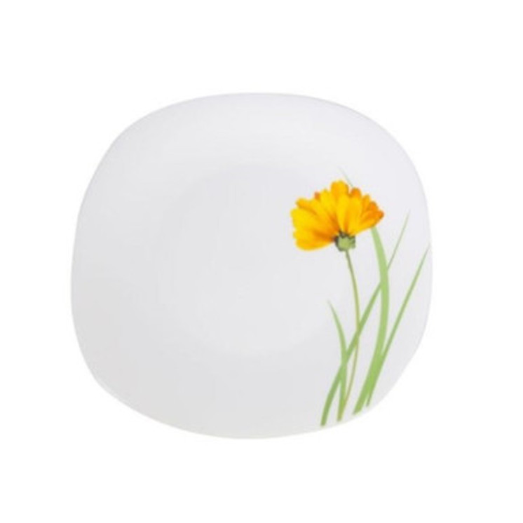Glowing Charm Dinner Plates Set 30pc
