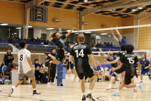 UTSNZ Volleyball 2026