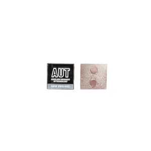 AUT International Logo Magnet