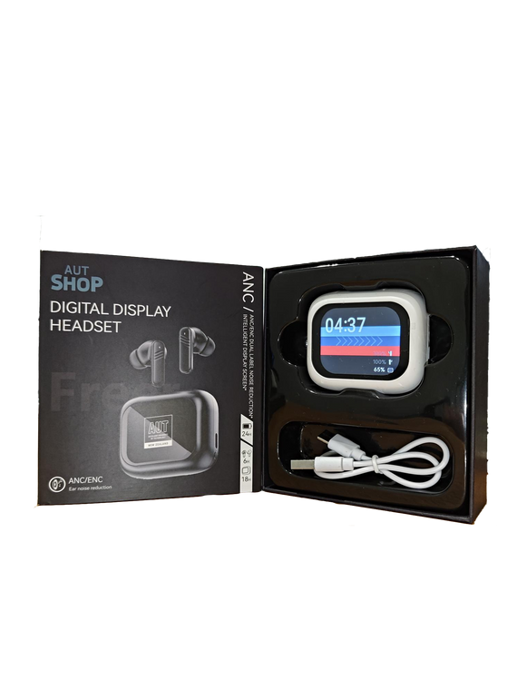 Digital Display Earbuds