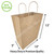 Eco-Friendly & Heavy Duty Kraft Twisted Handle Paper Bags (110 GSM) 10''x5''x13'' As Shopping Bags, Takeout Bags (750 PCS) Eco-Friendly & Heavy Duty Kraft Twisted Handle Paper Bags (110 GSM) 10''x5''x13'' As Shopping Bags, Takeout Bags (750 PCS)