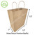 Eco-Friendly & Heavy Duty Kraft Twisted Handle Paper Bags (110 GSM) 13''x7''x13'' As Shopping Bags, Takeout Bags (750 PCS) Eco-Friendly & Heavy Duty Kraft Twisted Handle Paper Bags (110 GSM) 13''x7''x13'' As Shopping Bags, Takeout Bags (750 PCS)