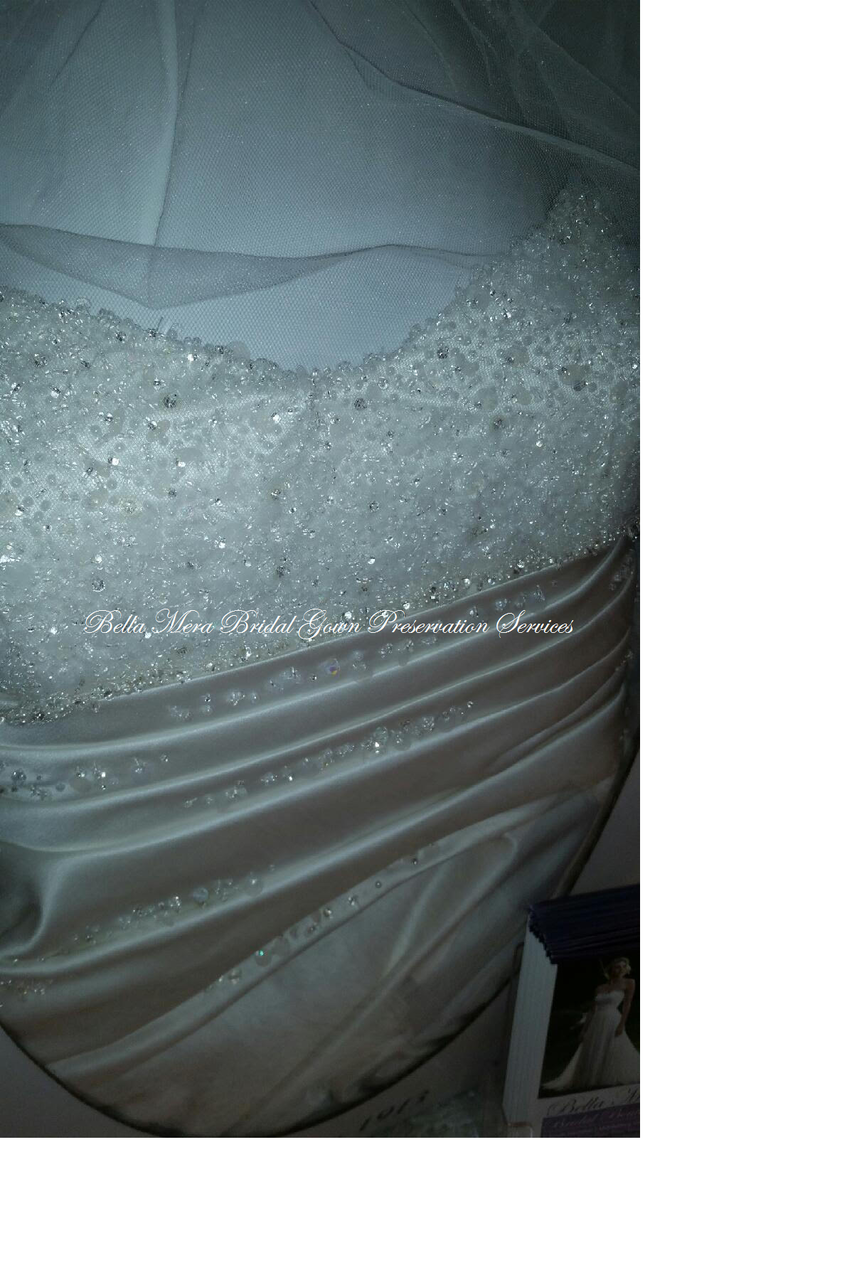 Traditional Wedding Gown Preservation Kits Online Voted 1 Wedding Gown Cleaning Preservation Company