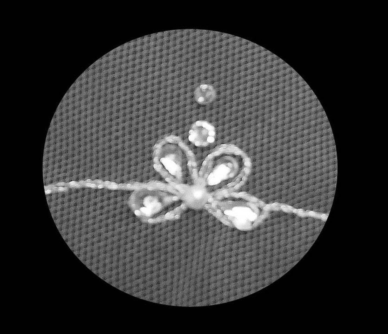 Noelle & Ava Collection - Silver Thread Embroidered Curly Vine With Flower Petals And Buds Accented With Marquis And Pearls