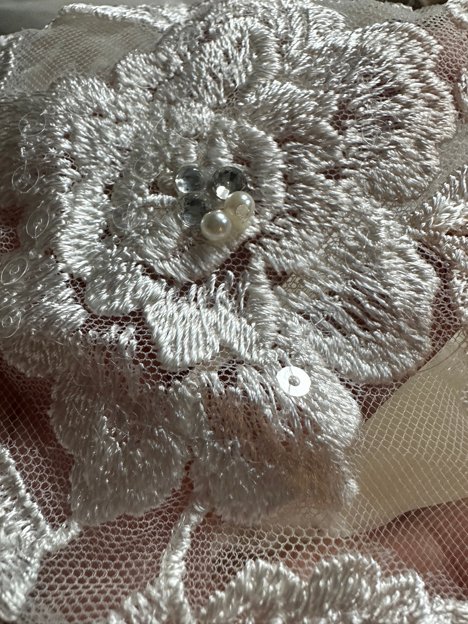 120" Inch - Beaded Alencon Lace Edge Cathedral Veil