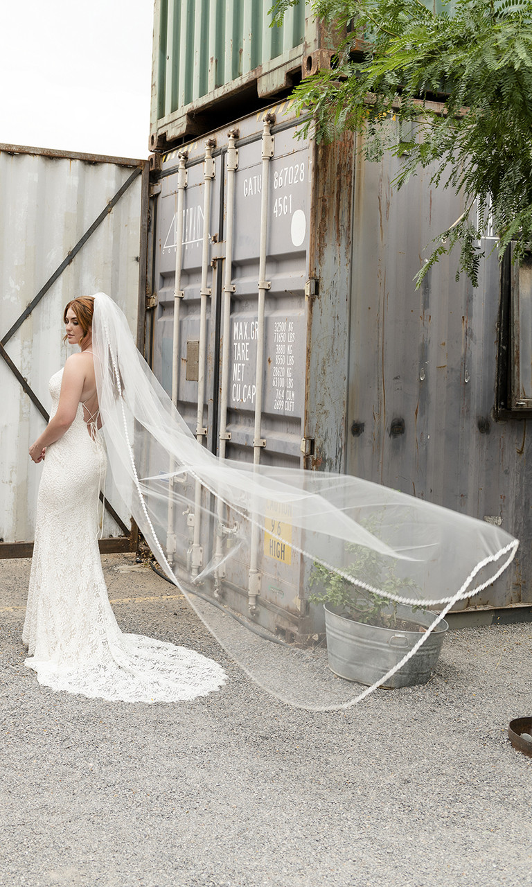 En Vogue Bridal Style V2285C - English Tulle Veil With Lace Appliques And Cut Edge - 108 Inches