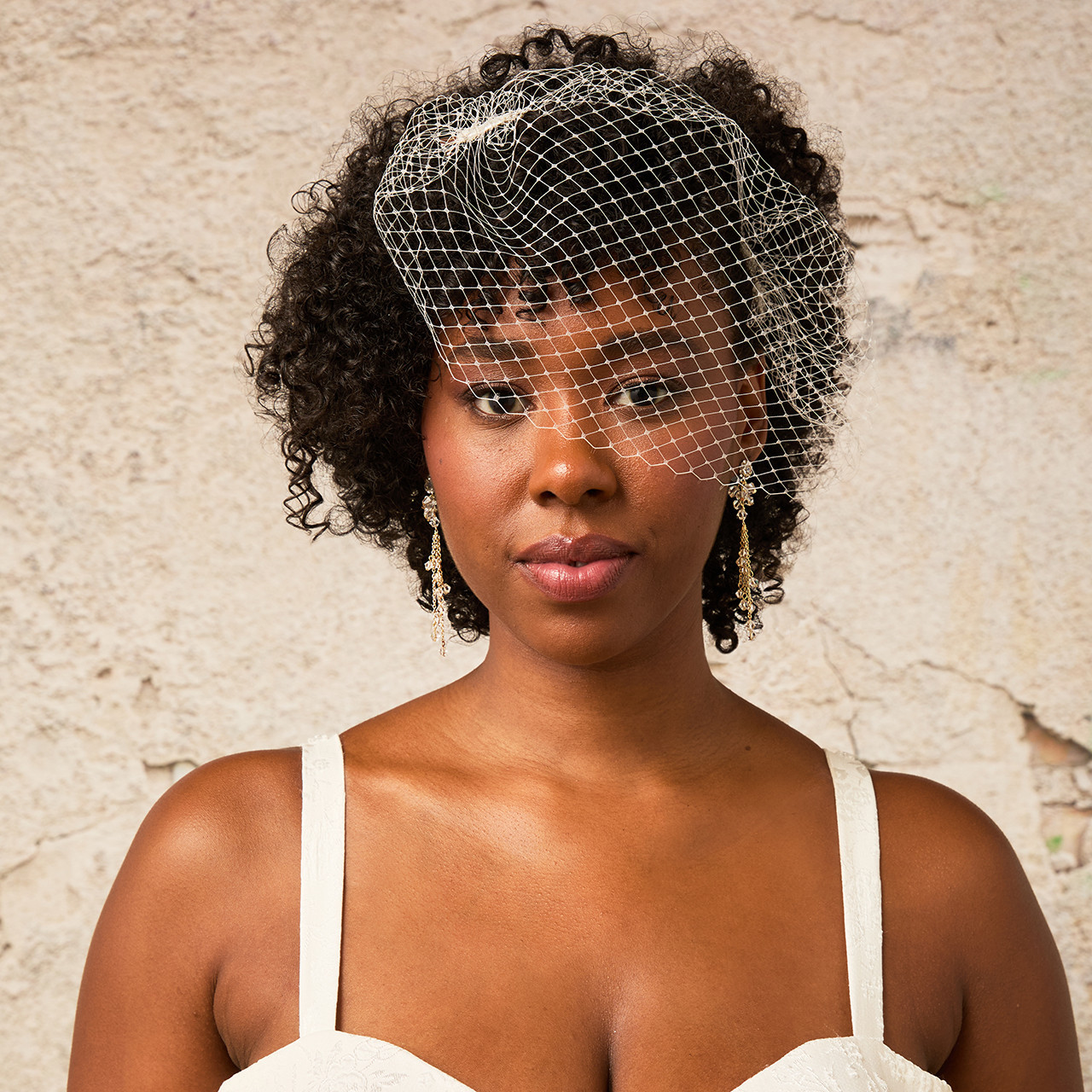 En Vogue Russian Bridal Cage Veil with Alligator Clips | CV2660-A