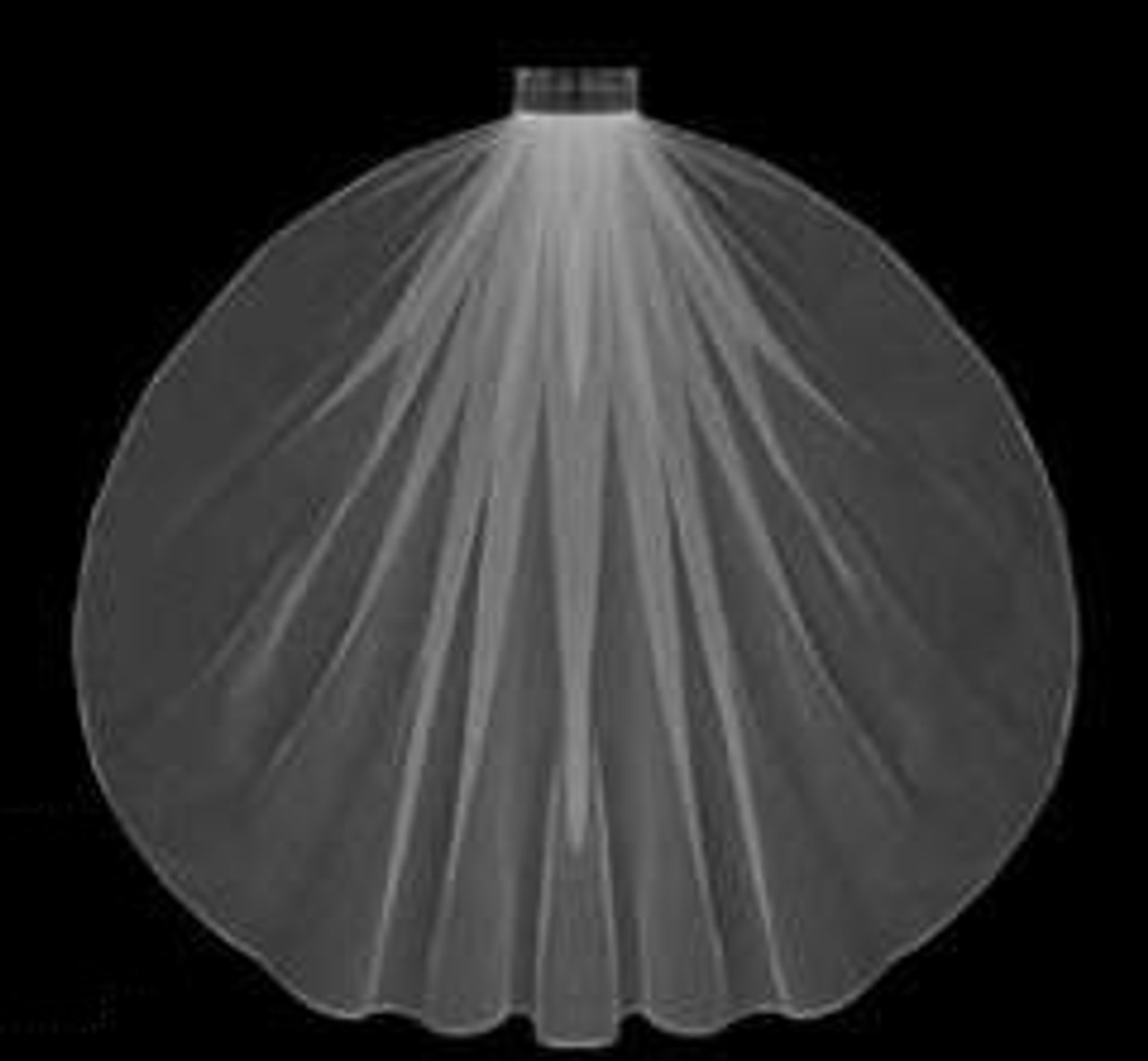 LC Bridal Style V672-120 - One Tier Waist Length Hemmed (Pencil, Finished) Edge Veil - 30" Long