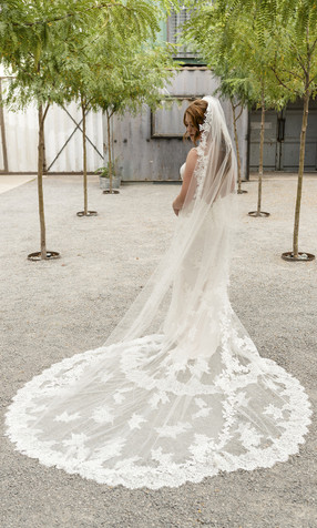 En Vogue Bridal Style V2286C - English Tulle Veil With Lace Appliques - 108 Inches