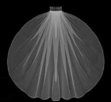 LC Bridal Style V692-240 - One Tier Cathedral Hemmed (Pencil, Finished) Edge Veil - 108" Long