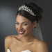 Royal Rhinestone Crown Tiara in Radiant Silver 167