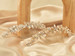 En Vogue Bridal Hair Comb - HC2623